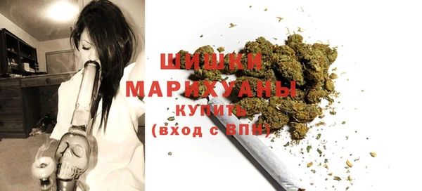 индика Карталы