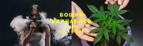 индика Карталы