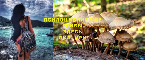 индика Карталы