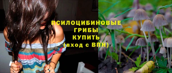 прущий лед Карпинск