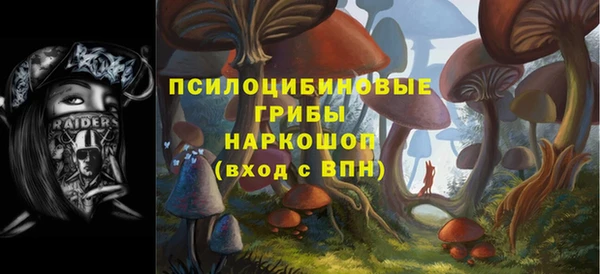 бутират Касимов