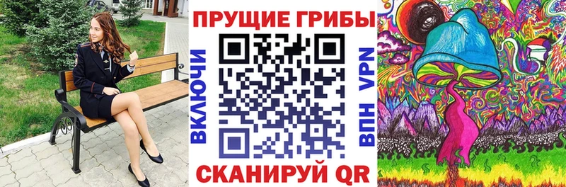 Псилоцибиновые грибы Psilocybe  Красавино 